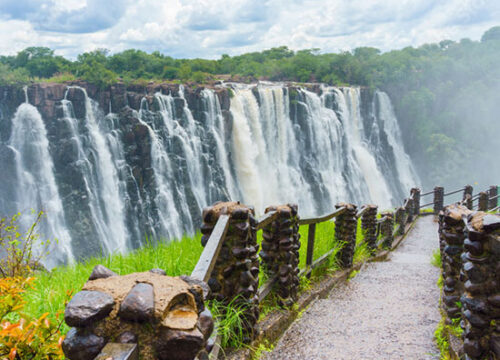 Discovery Victoria Falls Rain Forest Walk